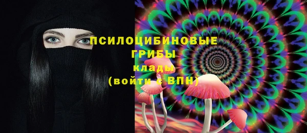 амф Алексеевка